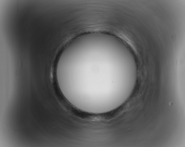 X0000099470115200805090821
