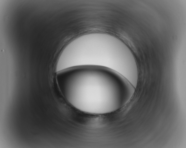 X0000099470116200805090821