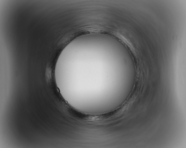 X0000099470117200805090821
