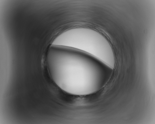 X0000099470119200805090821