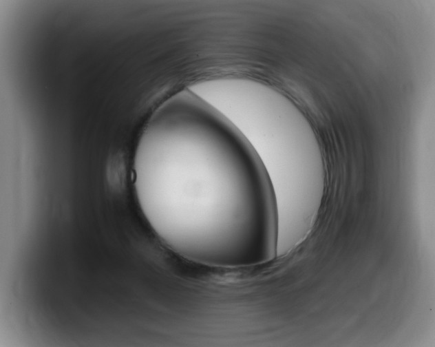 X0000099470120200805090821