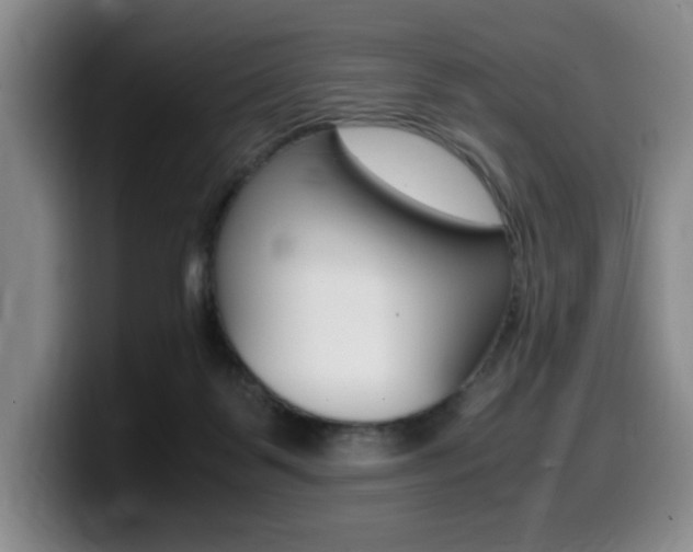 X0000099470123200805090821