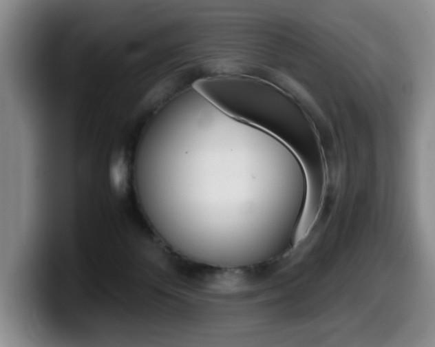 X0000099470124200805090821