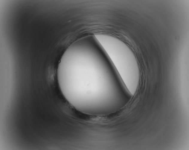 X0000099470125200805090821