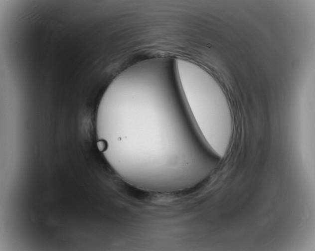 X0000099470127200805090821