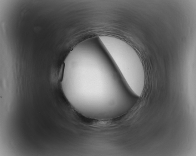X0000099470129200805090821