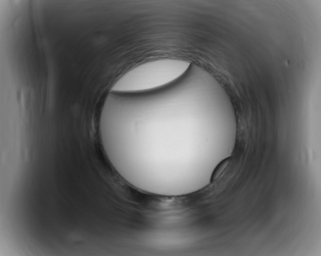 X0000099470130200805090821