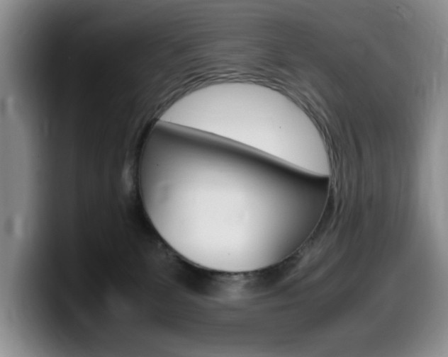 X0000099470131200805090821