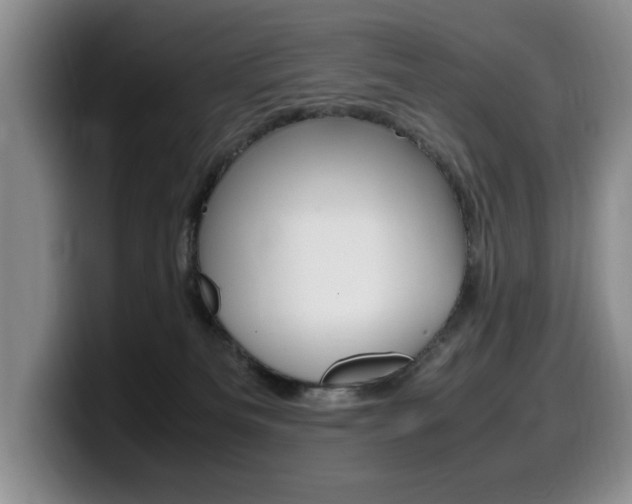X0000099470133200805090821