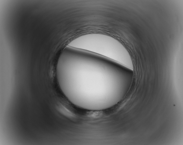X0000099470135200805090821