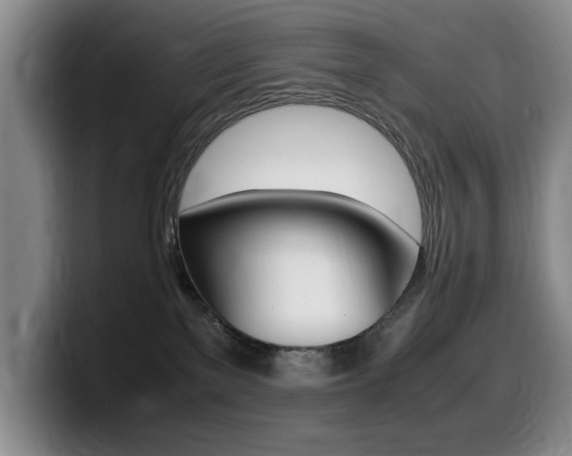 X0000099470137200805090821