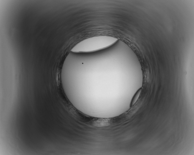 X0000099470138200805090821