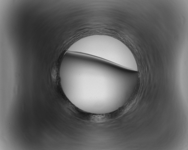 X0000099470139200805090821