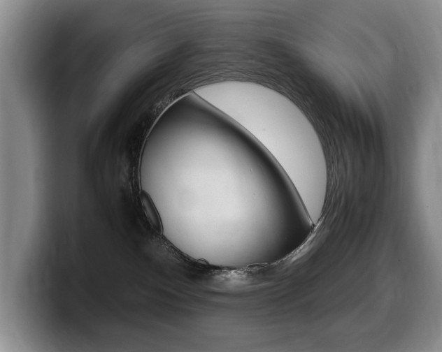 X0000099470140200805090821