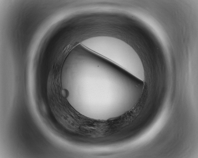 X0000099470143200805090821