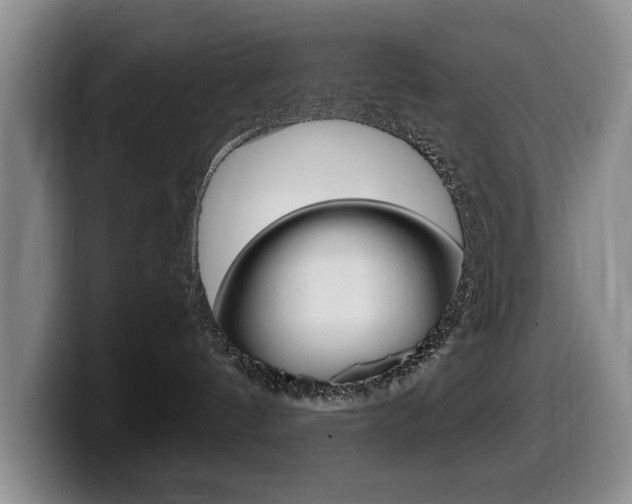 X0000099470144200805090821
