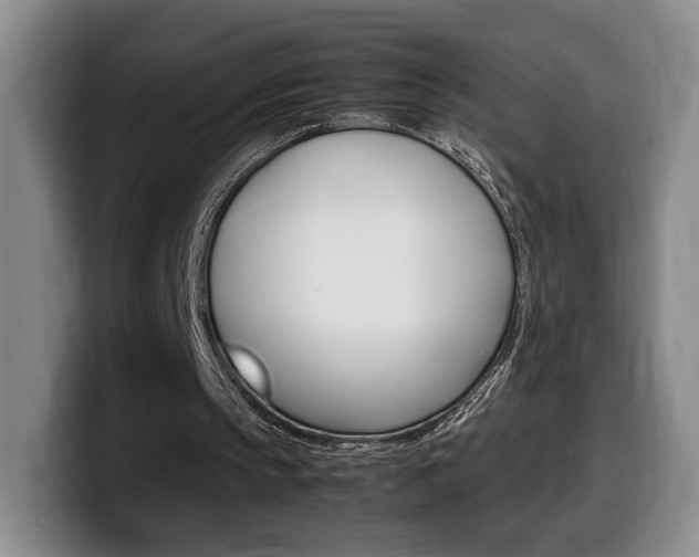 X0000099470145200805090820