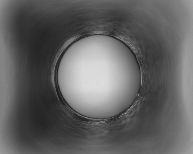 X0000099470147200805090820