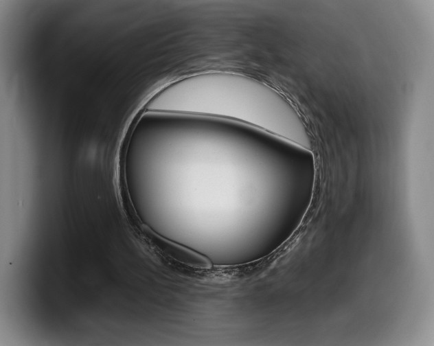X0000099470148200805090820