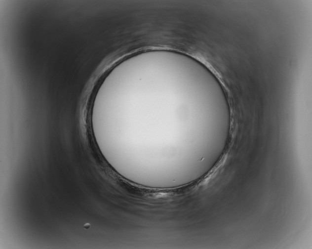 X0000099470151200805090820