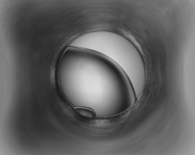 X0000099470154200805090820