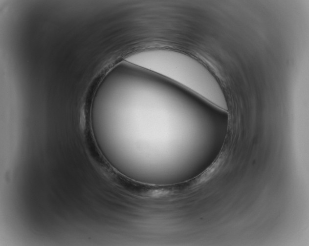X0000099470158200805090820