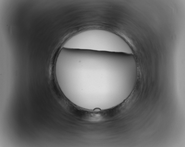 X0000099470159200805090820