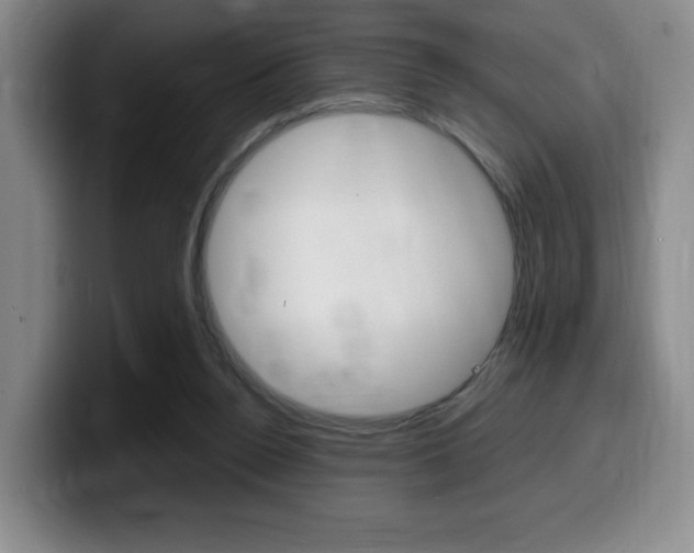 X0000099470160200805090820