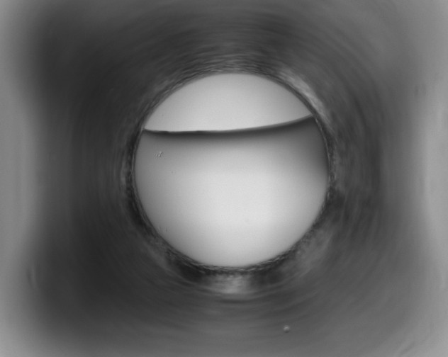 X0000099470161200805090820