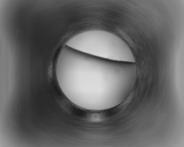 X0000099470163200805090820