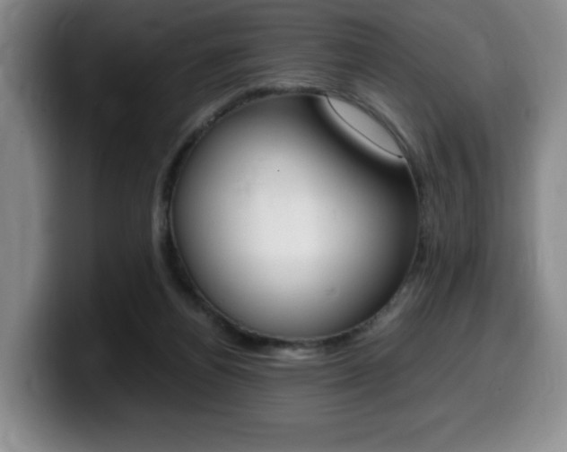 X0000099470164200805090820
