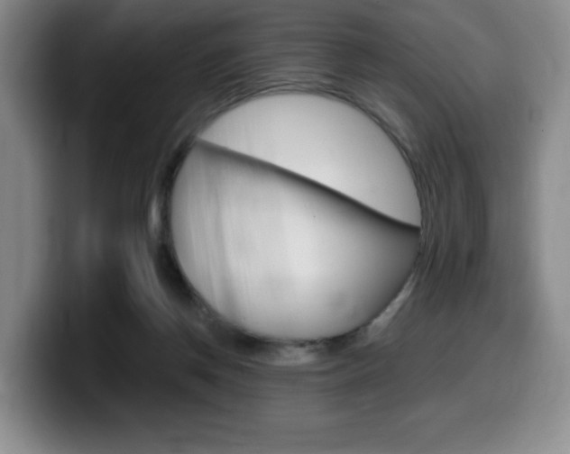 X0000099470166200805090820