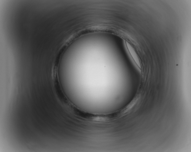 X0000099470168200805090820