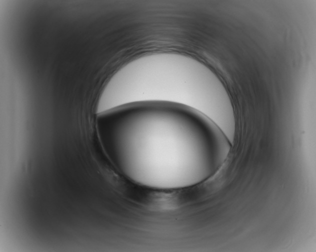 X0000099470170200805090820