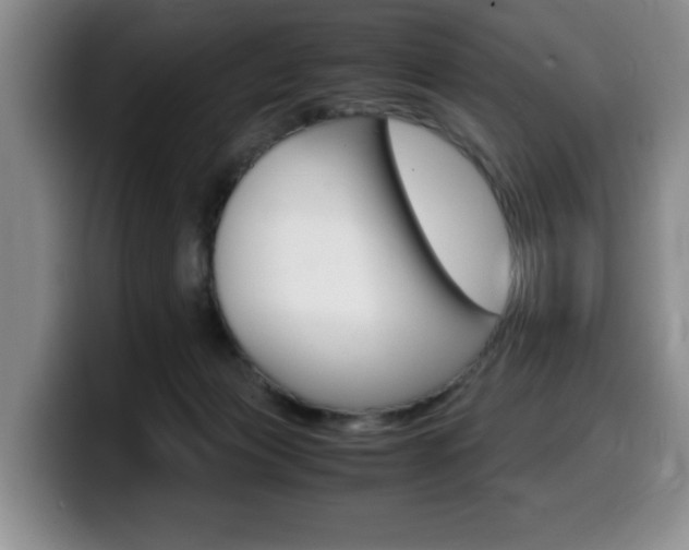 X0000099470173200805090820