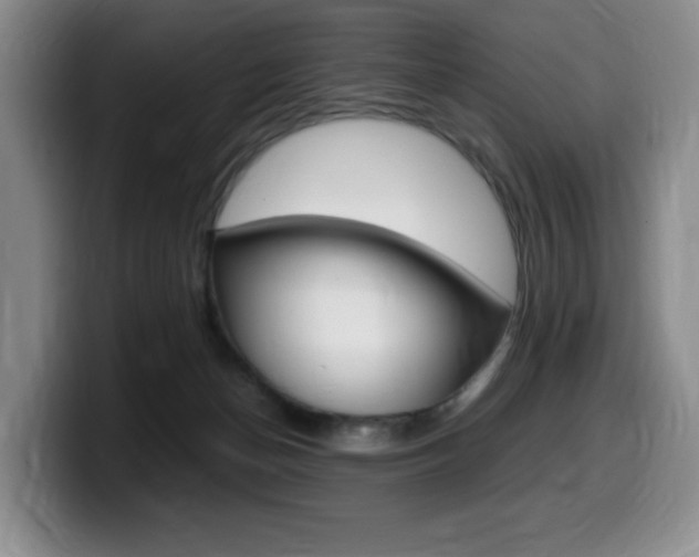 X0000099470174200805090820