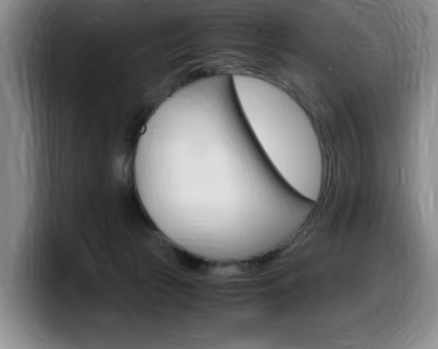 X0000099470177200805090820