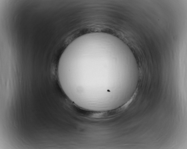 X0000099470178200805090820