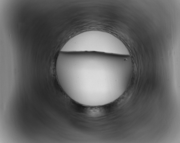X0000099470181200805090820