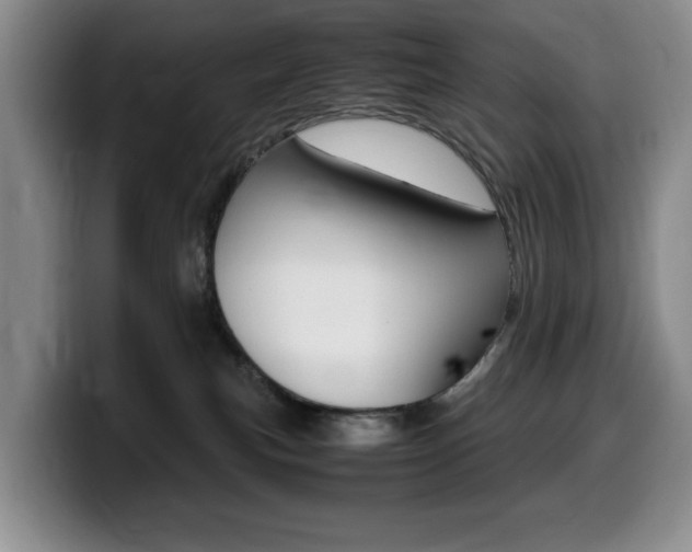X0000099470183200805090821