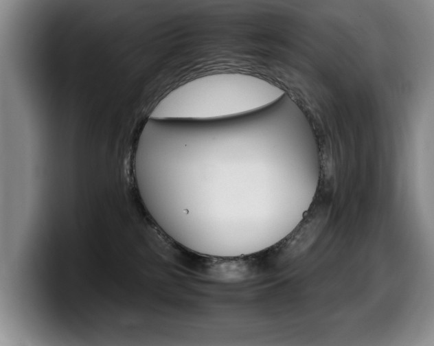 X0000099470185200805090821