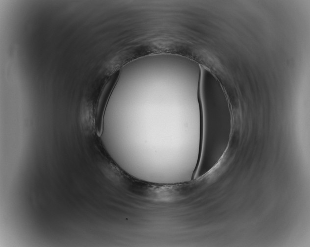 X0000099470186200805090821