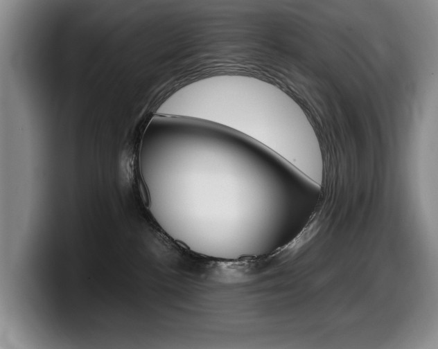 X0000099470188200805090821