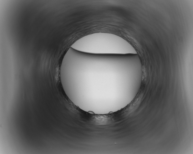 X0000099470189200805090821