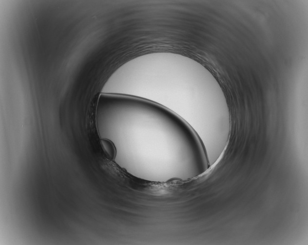 X0000099470190200805090821