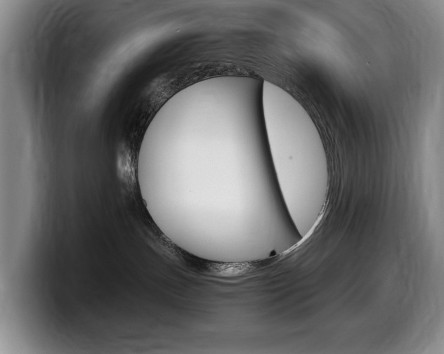 X0000099470191200805090821