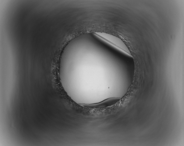 X0000099470192200805090821