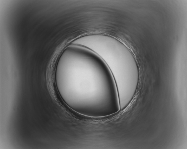X0000099470193200805090820