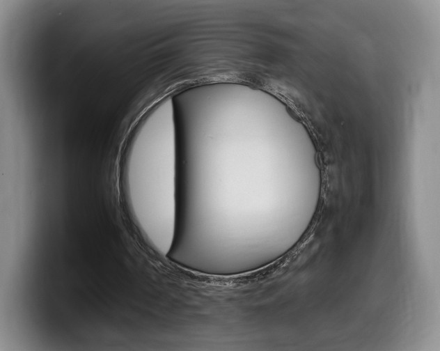X0000099470194200805090820
