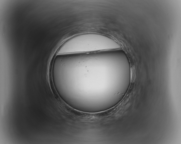 X0000099470195200805090820